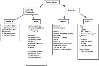 Autoimmune and Paraneoplastic Chorea: A Review of the Literature